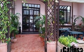 Hotel Ristorante Il Calipso By Mago